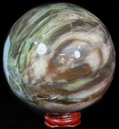 Colorful Petrified Wood Sphere #49766
